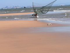 -日照海滨国家森林公园