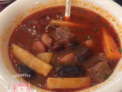 匈牙利牛肉汤-纽约咖啡馆