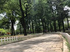 -二一九公园