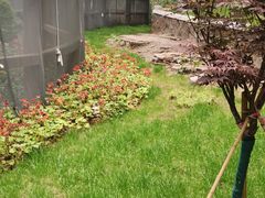 -焦作青龙峡风景名胜区