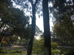 -习家池