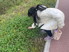 -桤木河湿地公园