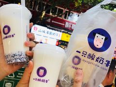 -一只酸奶牛(八一路店)