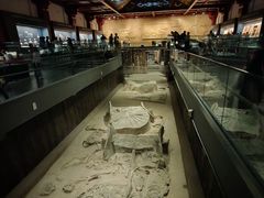 -北京大葆台遗址博物馆