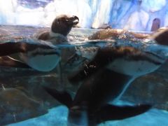 -常州海昌海洋探索馆