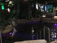 -泉城欧乐堡戏水湾艺术养生温泉