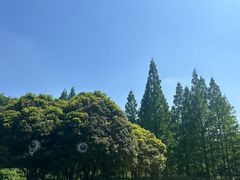 -五泄景区