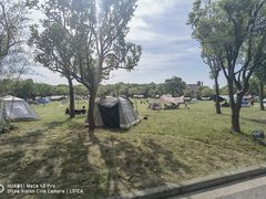 -上海吴淞炮台湾国家湿地公园
