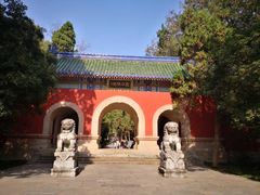 -灵谷景区