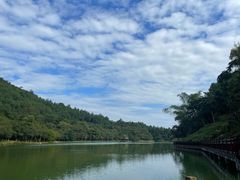 -广州白江湖森林公园