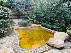 -天目湖涵田半山温泉