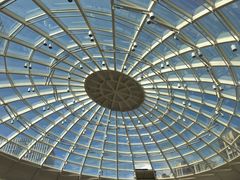 -1点点(学府路店)