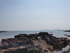 -八大关景区