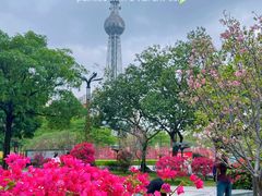 -文华公园(禅城区)