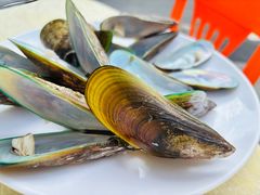 -锐记美食店·现捞海鲜(闸坡店)