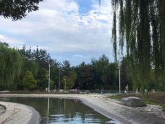 -柳浪游泳场