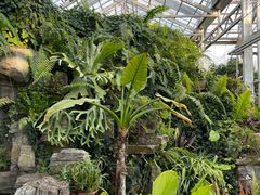 -国家植物园南园