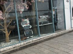 门面-喵屿·大理花园猫咖