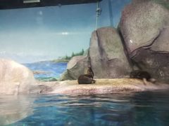 -福州罗源湾海洋世界旅游区