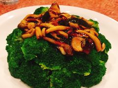 鸡油菌菇扣西兰花-徐记私厨(半淞园路店)