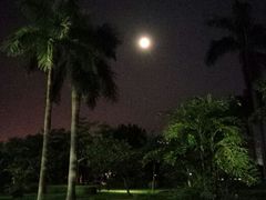 android_upload_pic-佳兆业国际影城(惠州IMAX店)