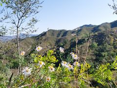 -蟠龙山长城景区