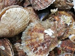 -宾朋海鲜美食餐厅·特色美食(兴海路店)