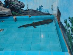 -石家庄市动物园