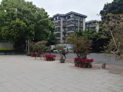 -乌山风景区