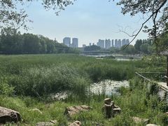 -护国法轮寺