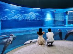 -青岛海底世界-水族馆