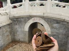 -白云观