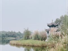 -眉山湿地公园(东坡区)