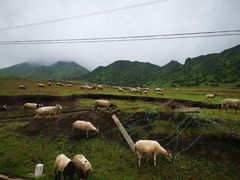 -日月山景区