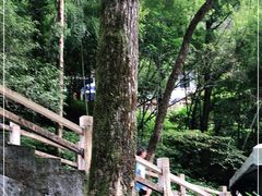 -雁荡山风景名胜区