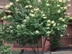 -北方暖暖温泉度假洗浴