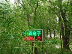 -同里国家湿地公园