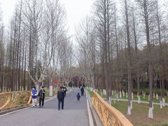-暨阳湖生态园