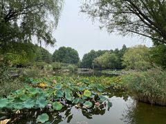 -郑州植物园