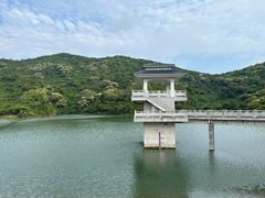 -东莞市大岭山森林公园