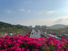 -云溪植物园