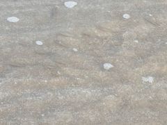 -嵊泗基湖沙滩