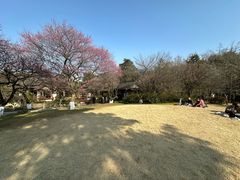 -杭州植物园