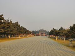 -茂陵博物馆