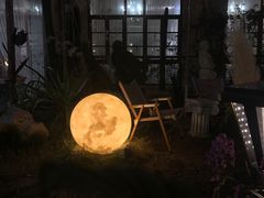 -Jo's Garden