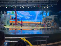 -三亚海昌梦幻海洋不夜城