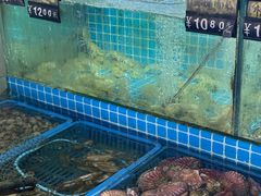 -老东镇啤酒屋海鲜加工·蒸汽海鲜·海鲜烧烤(台东店)