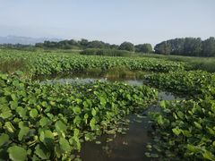 -怀来官厅水库