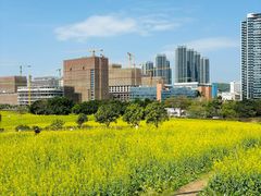 -光明小镇欢乐田园