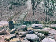 -南京市无想山景区